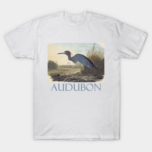 Little Blue Heron by John James Audubon T-Shirt